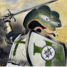 Crusader Pepe