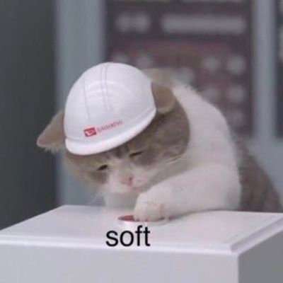 ✨