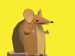 cordoz