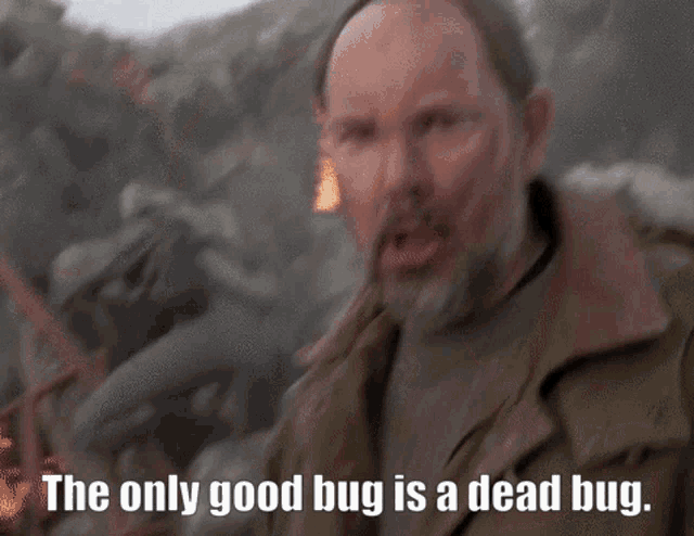 The only good bug