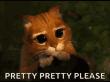 https://canny.io/images/f3b5447612e7e31f42237e75001659fa.gif