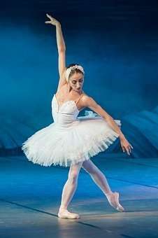 Andrea Hohman