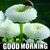 Cm Somya