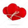 Md. Shagor
